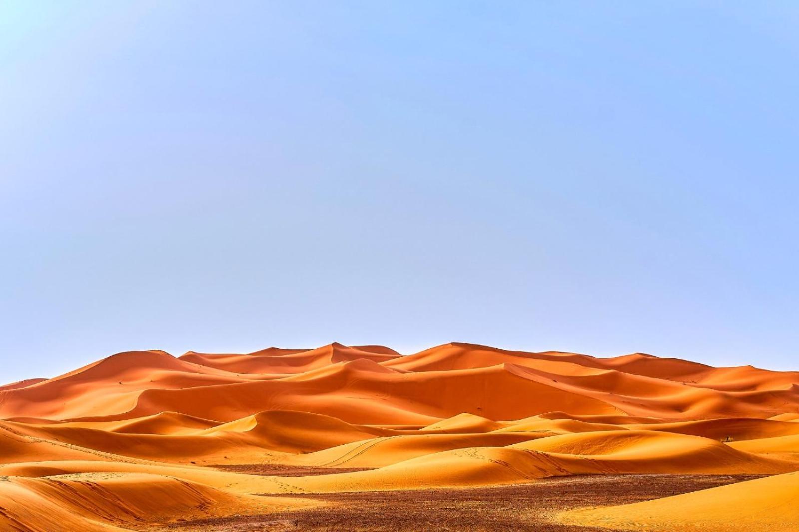 Young Luxury Camp Merzouga Exteriér fotografie
